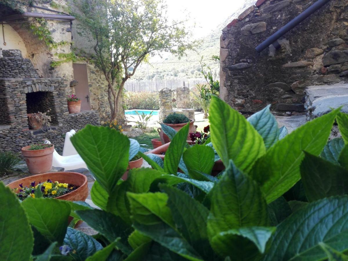 Can Pol Llanca Bagian luar foto